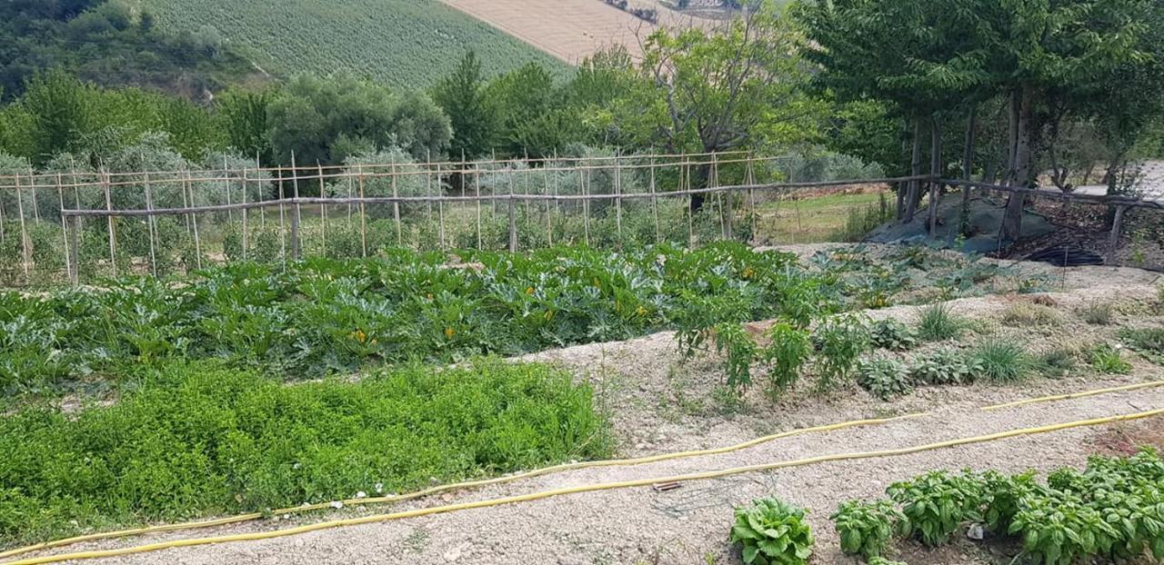 Agriturismo Fiore Di Campo Fermo Bagian luar foto